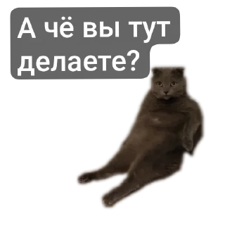 🐶 emoji StikerKit Telegram sticker 7 of 24