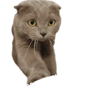 😀 emoji StikerKit Telegram sticker 14 of 24