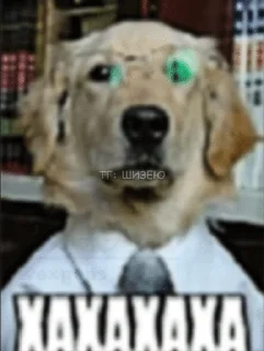 😐 emoji мемы Telegram sticker 14 of 66