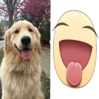 Sticker from мемы