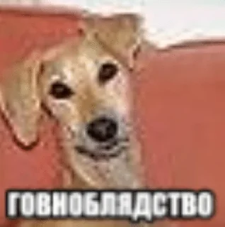 😕 emoji мемы Telegram sticker 8 of 66