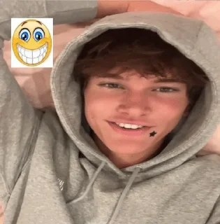 😄 emoji @habitr_bot - habit tracker Telegram sticker 20 of 120