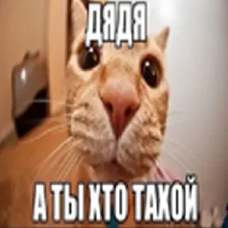 🤨 emoji капец Telegram sticker 11 of 120