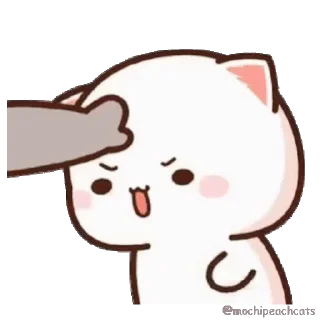 👊 emoji Милые котики Telegram sticker 19 of 120