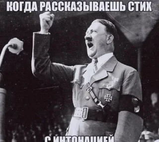 🌟 emoji грызть кокашке Telegram sticker 7 of 87