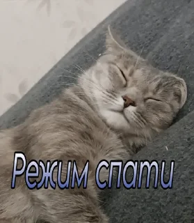 🤗 emoji NastyaKrasoto4kaRealno Telegram sticker 8 of 33