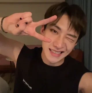 Sticker from straykids_банчанkpop_bts003