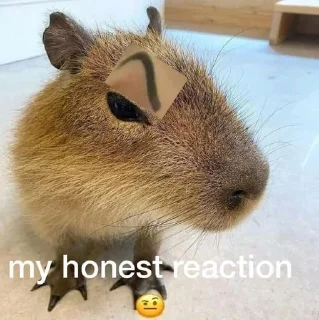 🌟 emoji capybara||@wxwiwjx Telegram sticker 17 of 29