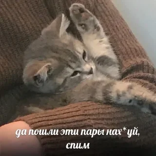😴 emoji спкнч Telegram sticker 23 of 36
