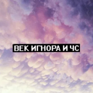 Sticker from сохры 2к17