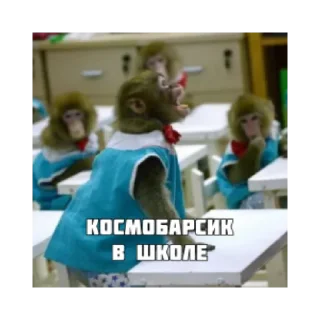 🎒 emoji Космобарсик монке Telegram sticker 21 of 22