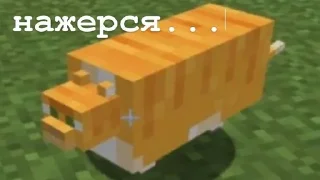 🤤 emoji ромашка ❤️‍🩹 Telegram sticker 22 of 95
