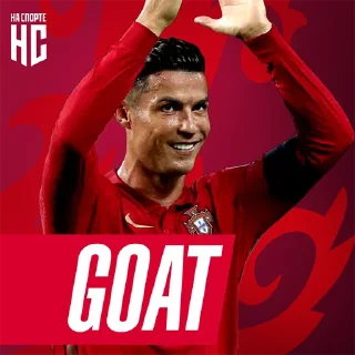 🐐 emoji НА СПОРТЕ – ЧЕМПИОНАТ МИРА Telegram sticker 6 of 33