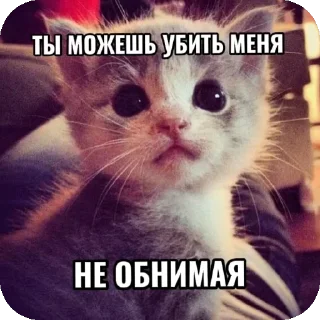 💀 emoji Тупа я Telegram sticker 16 of 78