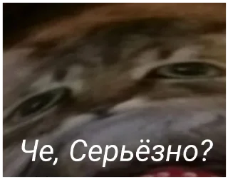 😅 emoji Есть Telegram sticker 14 of 47