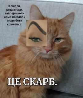 🌟 emoji Будні MROKO quild Telegram sticker 15 of 50