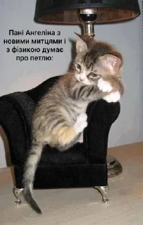Sticker from Будні MROKO quild