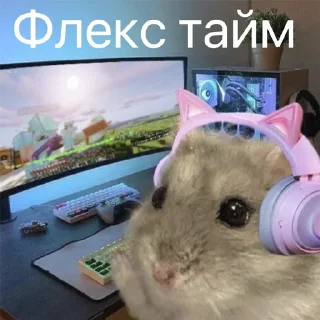 Sticker from Хомычи