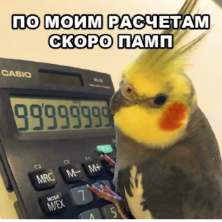 🧮 emoji Grand Memes Telegram sticker 10 of 74