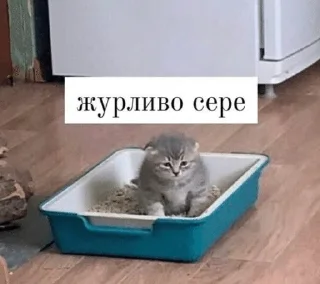 😓 emoji Файні скатеняки Telegram sticker 7 of 105