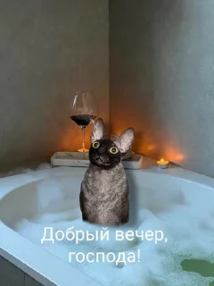 🌟 emoji Летучий зажигает Telegram sticker 12 of 18