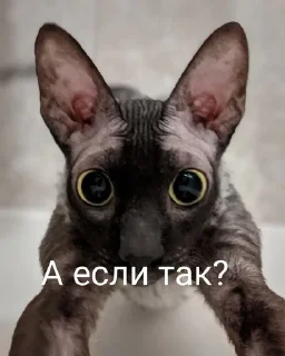 🌟 emoji Летучий зажигает Telegram sticker 10 of 18