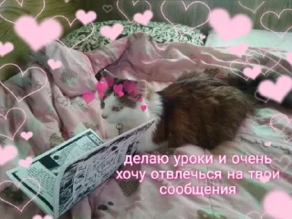 🤐 emoji алло?да Telegram sticker 12 of 92