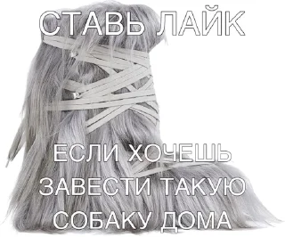 🌟 emoji ДА Я НЕФОР Telegram sticker 17 of 120