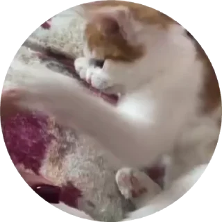 🌟 emoji ururururuuururururru Telegram sticker 9 of 43