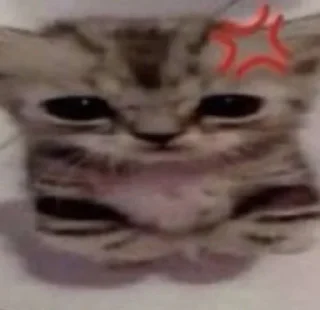 😡 emoji Млем млем Telegram sticker 17 of 68