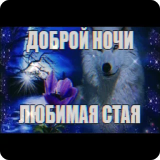 🌟 emoji Открыточки Telegram sticker 18 of 26