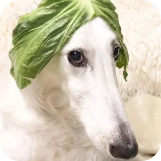 🐶 emoji Хорти Telegram sticker 12 of 63