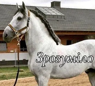 🧐 emoji GOYDA PACK Telegram sticker 24 of 31