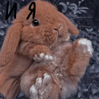 🐰 emoji Зайчики на все случаи жизни Telegram sticker 21 of 57