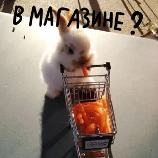 🐰 emoji Зайчики на все случаи жизни Telegram sticker 14 of 57