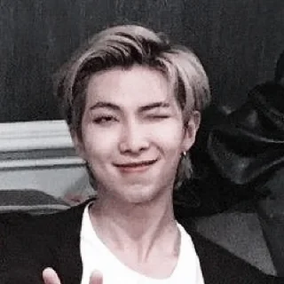 🧱 emoji namjoon Telegram sticker 14 of 24