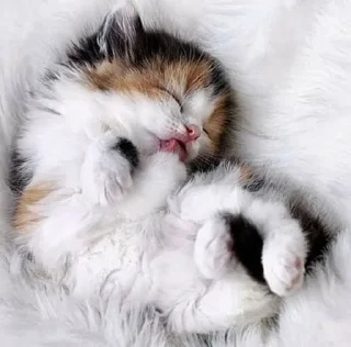 😴 emoji Favorite stickers Telegram sticker 7 of 68