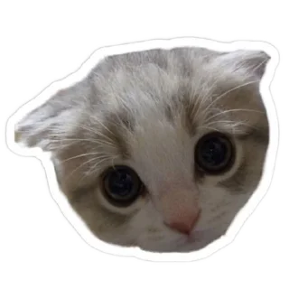 👍 emoji Данон Telegram sticker 13 of 95