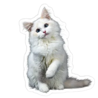 👍 emoji Данон Telegram sticker 6 of 95