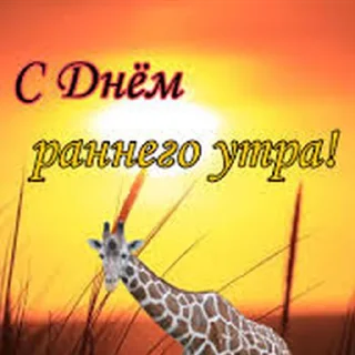 🦒 emoji 🤡👾Конченые ВэбОткрытки👾🤡 Telegram sticker 5 of 120