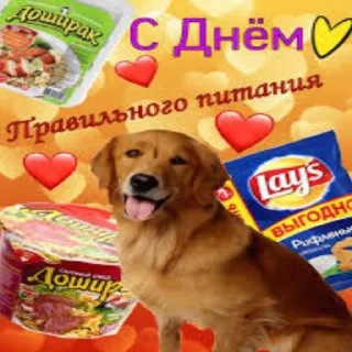 Sticker from 🤡👾Конченые ВэбОткрытки👾🤡