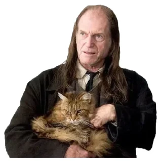 🐱 emoji Harry Potter Telegram sticker 10 of 95