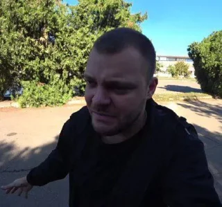 🤨 emoji Волков Telegram sticker 20 of 41