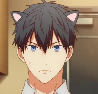😽 emoji дарованный Telegram sticker 17 of 25