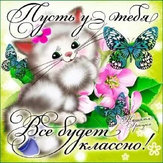 🐱 emoji Открыточки Telegram sticker 14 of 51