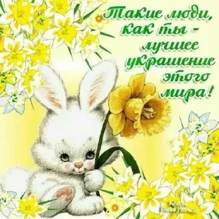 🐰 emoji Открыточки Telegram sticker 5 of 51