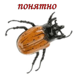 😶 emoji жуки пауки Telegram sticker 8 of 100