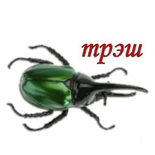 😑 emoji жуки пауки Telegram sticker 10 of 100