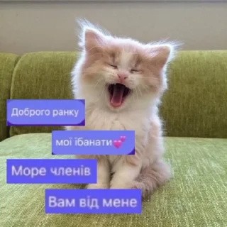 💕 emoji Мурка манюня Telegram sticker 21 of 28