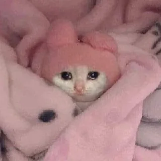🐈 emoji Мурка манюня Telegram sticker 16 of 28